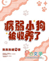 病弱小狗被收养了