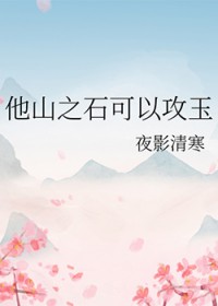 他山之石可以攻玉