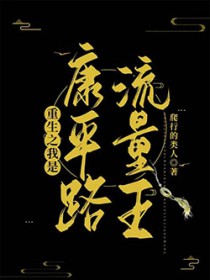 重生之我是康平路流量王
